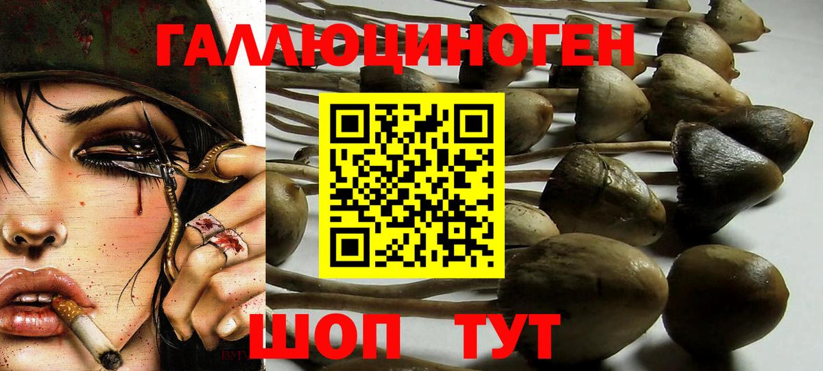 Псилоцибиновые грибы Magic Shrooms  Вход с VPN  Котлас 