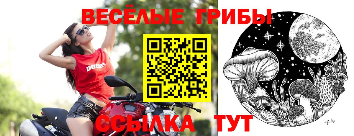 Галлюциногенные грибы ЛСД Котлас
